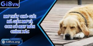 Mơ thấy chó: Giải mã giấc mơ và con số may mắn chính xác