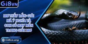 Mơ thấy rắn: Giải mã ý nghĩa và con số may mắn trong lô đề